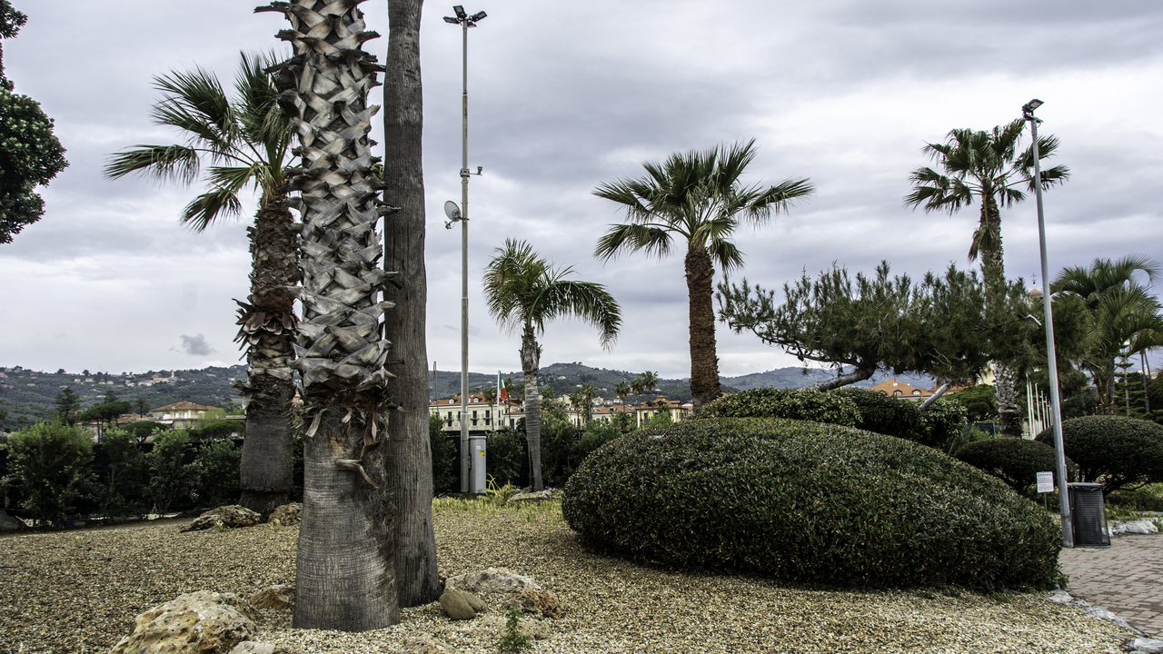 20220422 111406•Diano Marina•Liguria•Italy